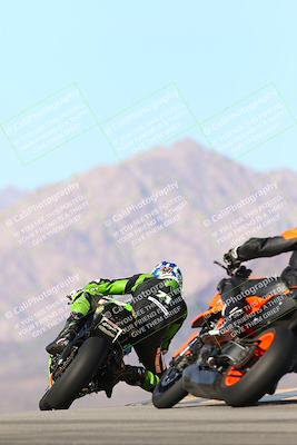 media/Jan-13-2024-SoCal Trackdays (Sat) [[9c032fe5aa]]/Turn 9 Backside (110pm)/